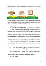 Referāts 'SIA "Flora" peļņas analīze', 21.