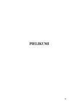 Referāts 'SIA "Flora" peļņas analīze', 41.