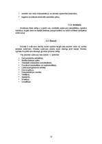 Referāts 'Izstrādes metodoloģijas CDM Fast Track analīze', 19.