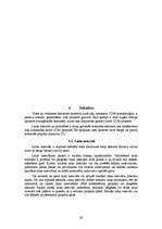 Referāts 'Izstrādes metodoloģijas CDM Fast Track analīze', 29.