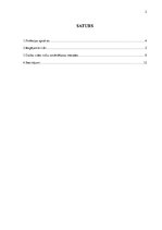 Referāts 'Risku novērtēšana apkopējas profesijai', 2.