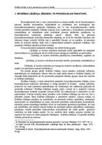 Referāts 'Drošības līdzekļi', 3.