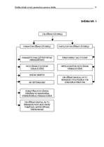 Referāts 'Drošības līdzekļi', 25.