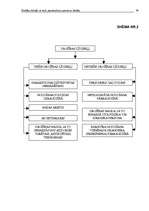 Referāts 'Drošības līdzekļi', 26.