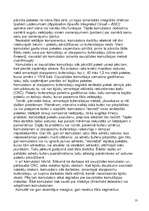 Referāts 'Telekomunikācijas tīkli', 13.