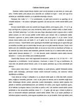 Referāts 'Jumta segumi', 11.