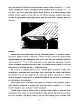 Referāts 'Jumta segumi', 14.