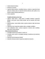 Konspekts 'Stratēģiskā vadīšana', 4.