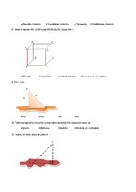 Konspekts 'Tests "Stereometrijas sākums"', 2.