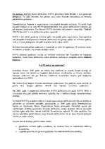 Konspekts 'Starptautiskās oranizācijas', 8.