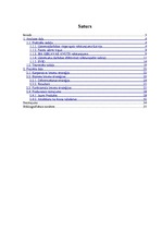 Referāts 'SIA "Ķekavas avots" konkurētspējas paaugstināšanas projekts', 2.