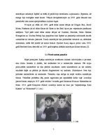 Referāts 'Japānas animācijas tēlu vizuālās īpatnības', 5.