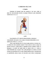 Referāts 'Japānas animācijas tēlu vizuālās īpatnības', 20.