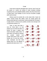 Referāts 'Japānas animācijas tēlu vizuālās īpatnības', 27.
