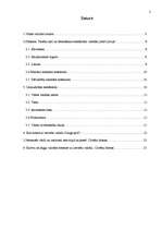 Referāts 'Valsts valodas likums', 2.