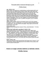 Referāts 'Valsts valodas likums', 13.