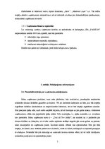 Biznesa plāns 'Biznesa plāns', 3.