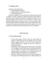 Biznesa plāns 'Biznesa plāns', 4.