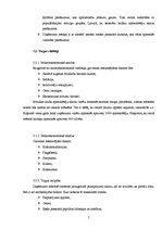 Biznesa plāns 'Biznesa plāns', 5.