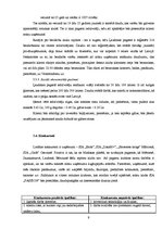 Biznesa plāns 'Biznesa plāns', 7.