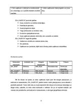 Biznesa plāns 'Biznesa plāns', 8.