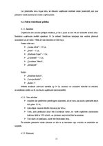 Biznesa plāns 'Biznesa plāns', 10.