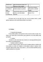 Biznesa plāns 'Biznesa plāns', 13.