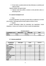 Biznesa plāns 'Biznesa plāns', 15.