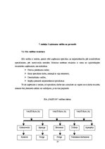 Biznesa plāns 'Biznesa plāns', 17.