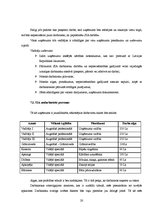 Biznesa plāns 'Biznesa plāns', 18.