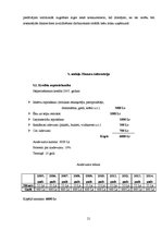 Biznesa plāns 'Biznesa plāns', 19.