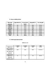 Biznesa plāns 'Biznesa plāns', 20.