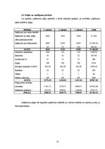 Biznesa plāns 'Biznesa plāns', 22.