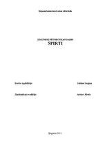 Referāts 'Spirti', 1.
