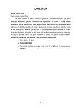 Referāts 'Spirti', 3.