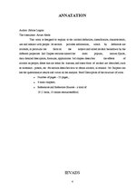 Referāts 'Spirti', 4.