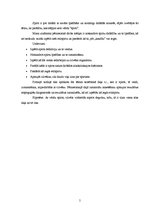 Referāts 'Spirti', 5.