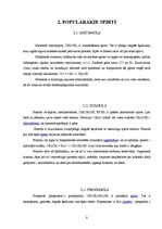 Referāts 'Spirti', 8.