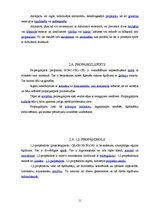 Referāts 'Spirti', 11.