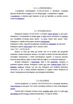 Referāts 'Spirti', 12.