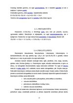 Referāts 'Spirti', 13.