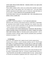 Referāts 'Tūrisma attīstība Mārupes novadā', 8.