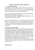 Referāts 'Tūrisma attīstība Mārupes novadā', 9.