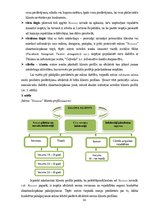 Diplomdarbs 'Produktu portfeļa papildināšanas iespējas skaistumkopšanas pakalpojumu biznesā', 34.