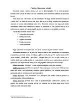 Eseja 'Veikalu tipa "showroom" raksturojums', 2.