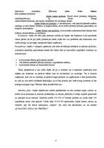 Eseja 'Veikalu tipa "showroom" raksturojums', 4.