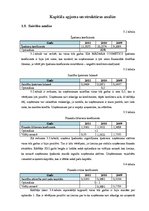 Referāts 'SIA "Màdara Cosmetics" kapitāla struktūras un cenas analīze', 13.