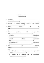 Biznesa plāns 'Final Group Project: Ski-Resort Hotel', 2.