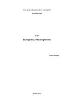 Eseja 'Ekoloģiskās pēdas nospiedums', 1.