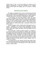 Referāts 'Kriminālā situācija', 5.